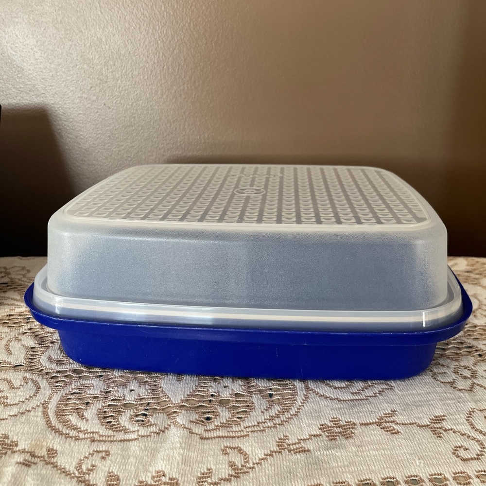 Tupperware Meat Marinade Food Storage Container for Cookies, Muffins Etc